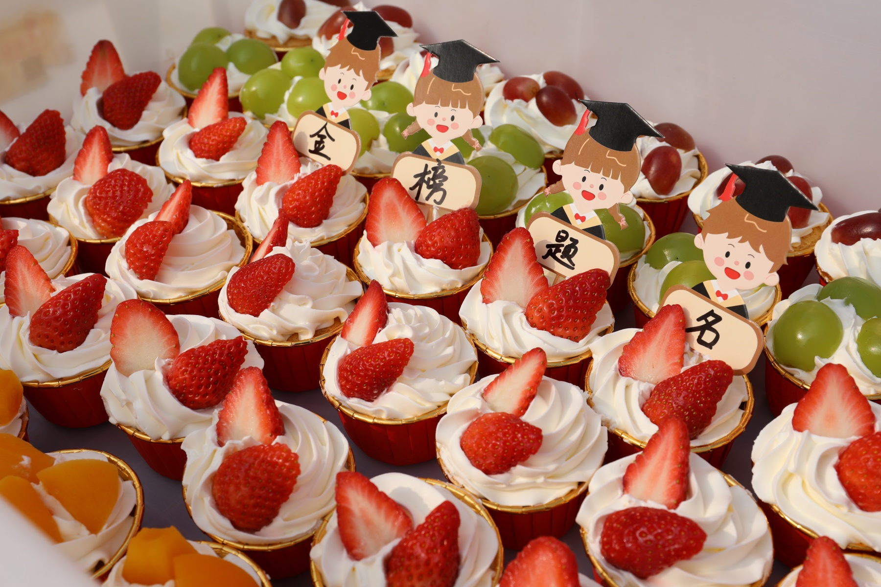 决战高考为梦而战——漯河卫生中等专业学校祝2026年考生金榜题名 未来可期(图4)